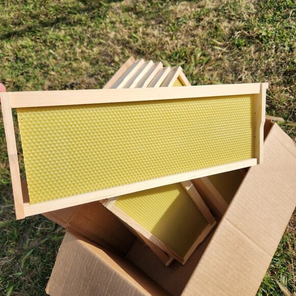 Beekeeping Equipment 10 Medium Frames + 10 Foundation ASSEMBLED For Super Boxes - Picture 8 of 8